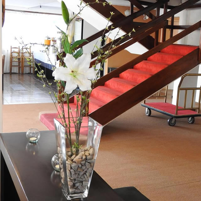 Hotel Tiburones Club